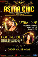 Redlight Elite Chic 7 Sender Viaccess Card 12 Monate