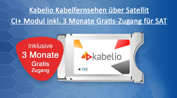 >> Zum Artikel